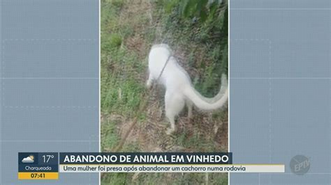 VÍDEO: Mulher é presa por abandonar cachorro